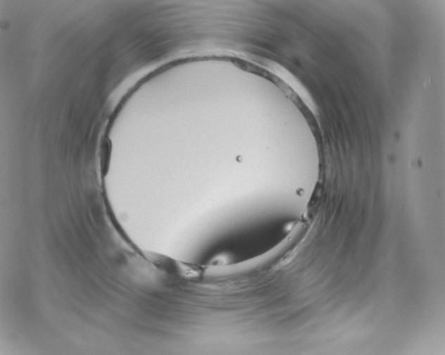 X0000078301388200611251457