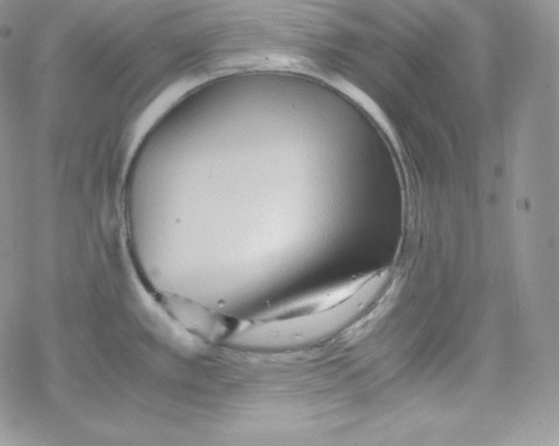 X0000078301389200611251457