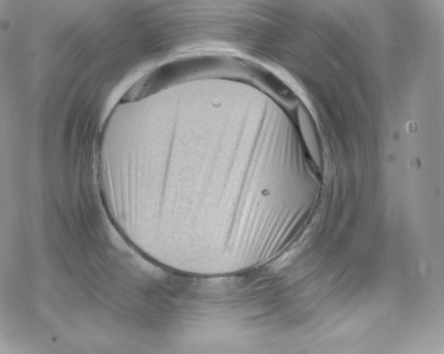 X0000078301390200611251457