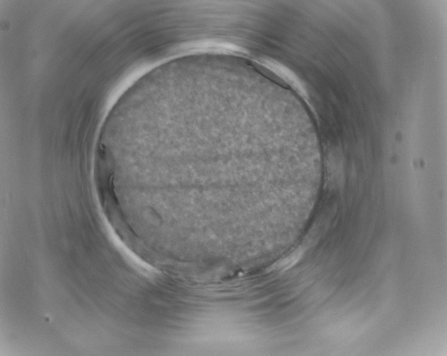 X0000078301391200611251457