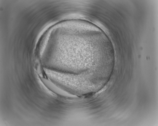 X0000078301392200611251457