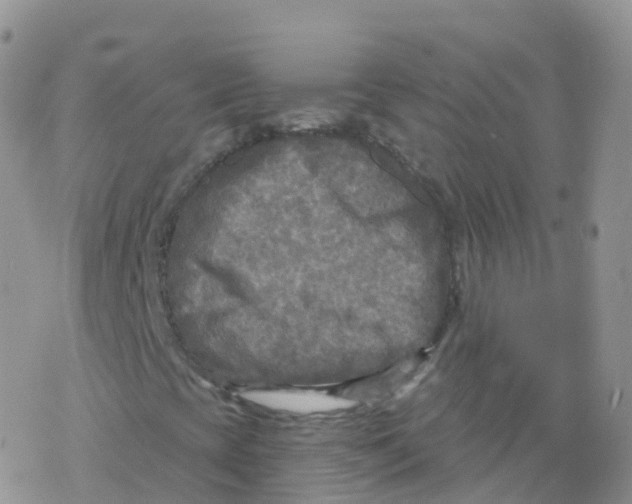 X0000078301393200611251457