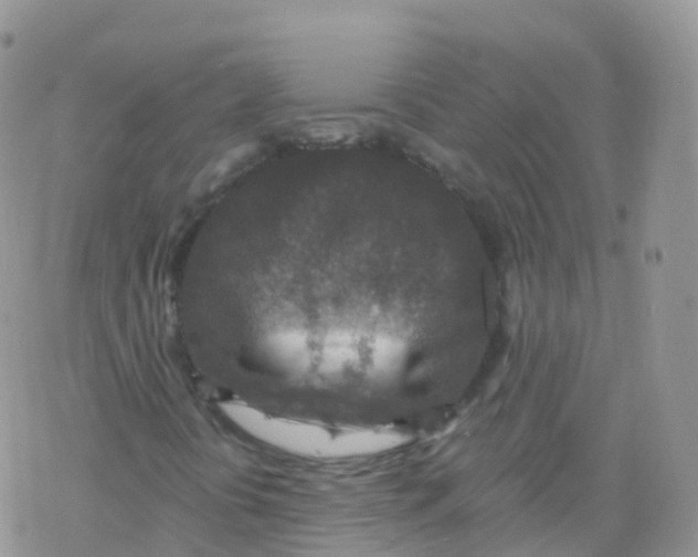 X0000078301394200611251457