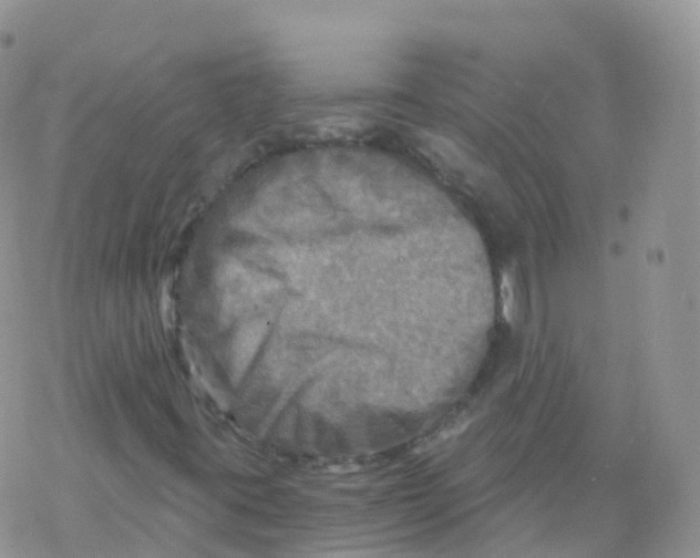 X0000078301395200611251457