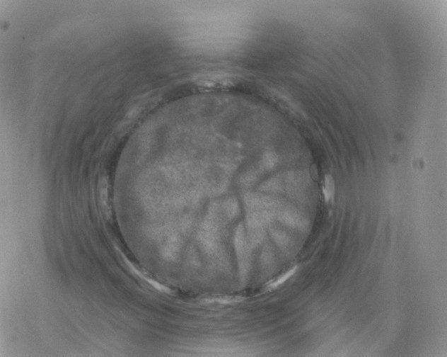 X0000078301396200611251457