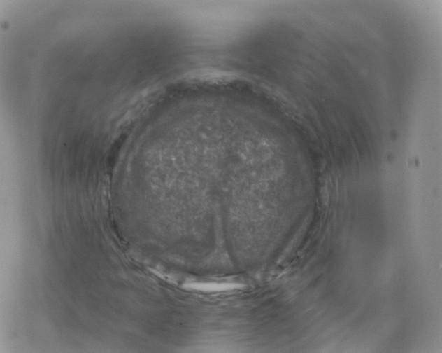 X0000078301397200611251457