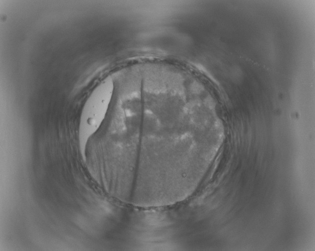 X0000078301399200611251457