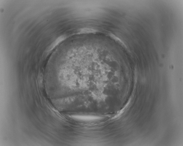 X0000078301401200611251457