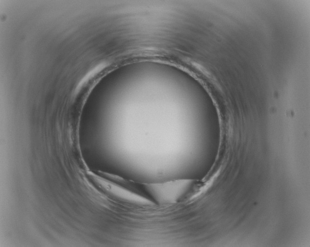 X0000078301402200611251457