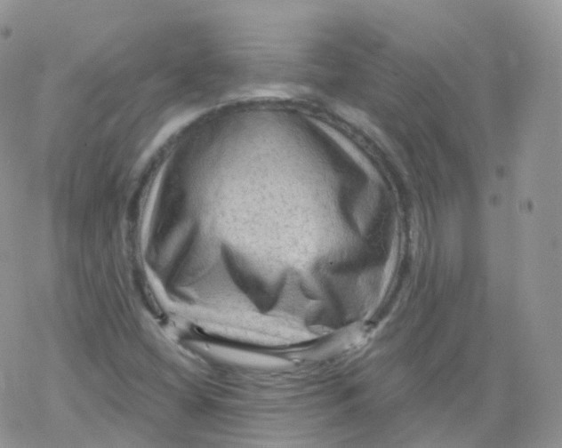 X0000078301404200611251457