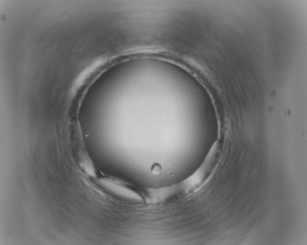 X0000078301406200611251457