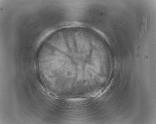 X0000078301407200611251457