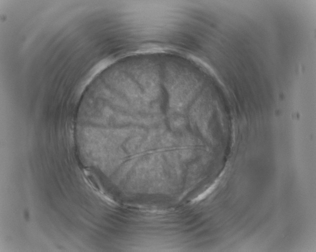 X0000078301409200611251457