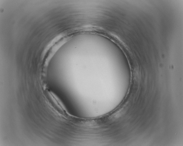 X0000078301410200611251457