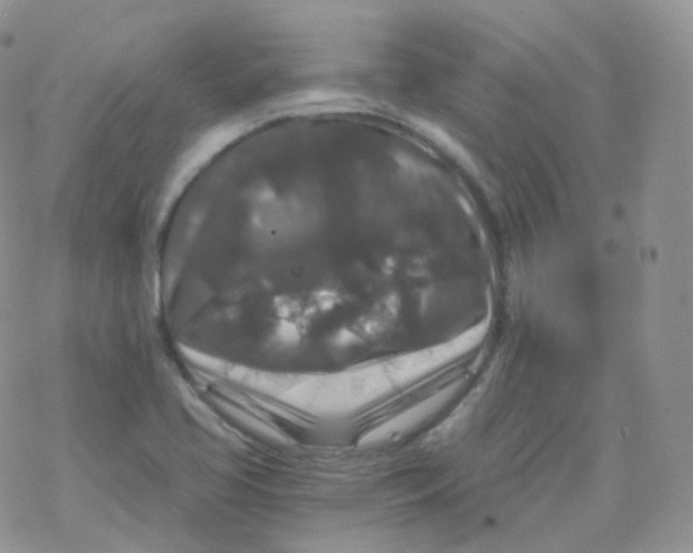 X0000078301413200611251457