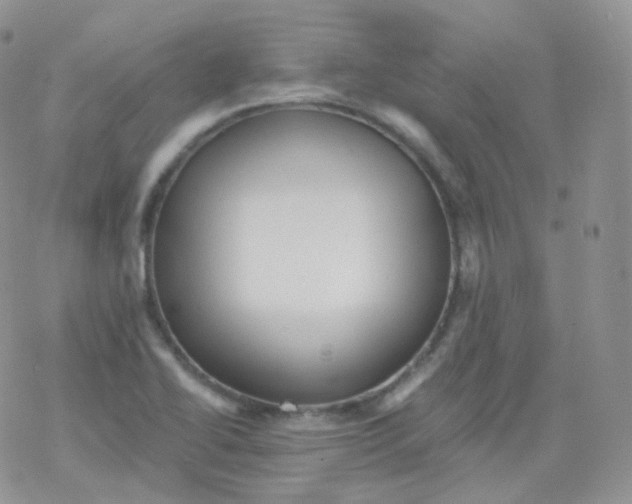 X0000078301414200611251457