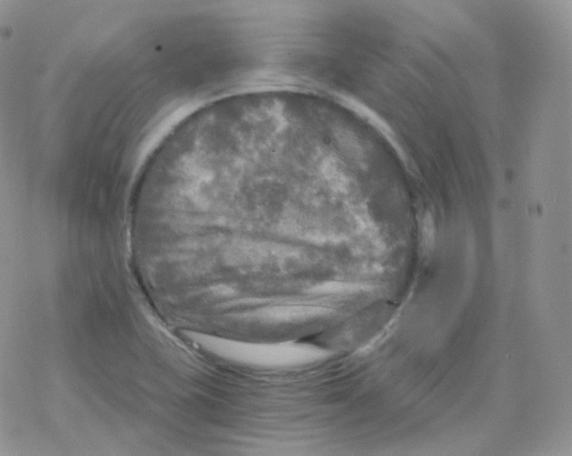 X0000078301415200611251457