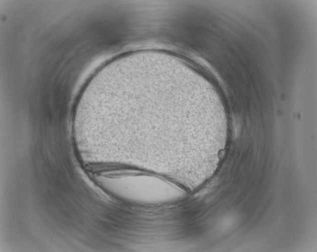 X0000078301416200611251457