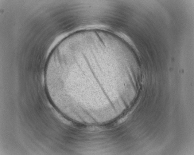 X0000078301420200611251457