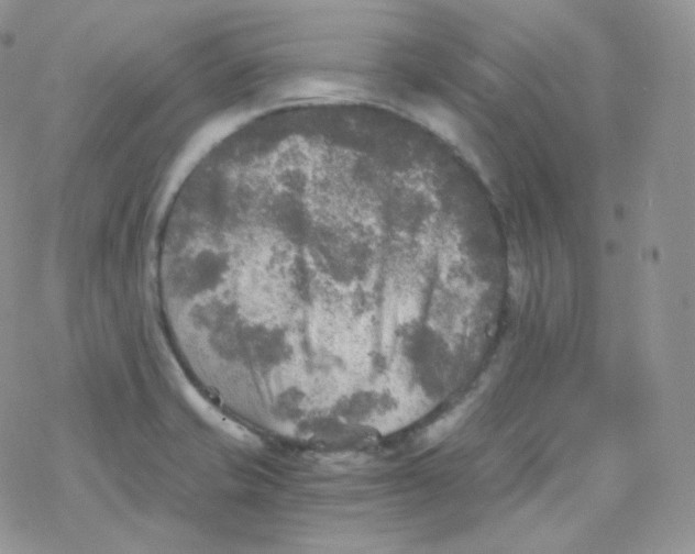 X0000078301421200611251457