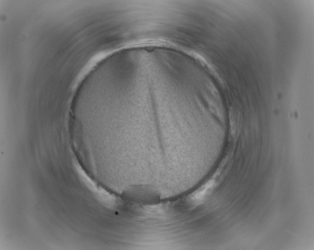 X0000078301422200611251457