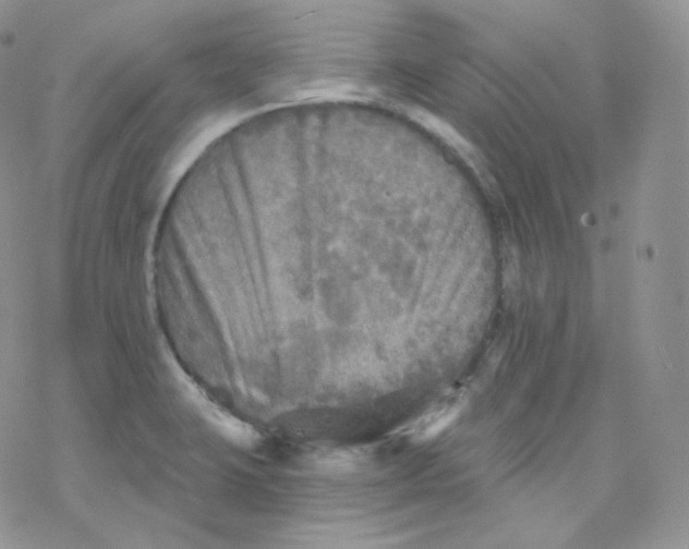 X0000078301423200611251457