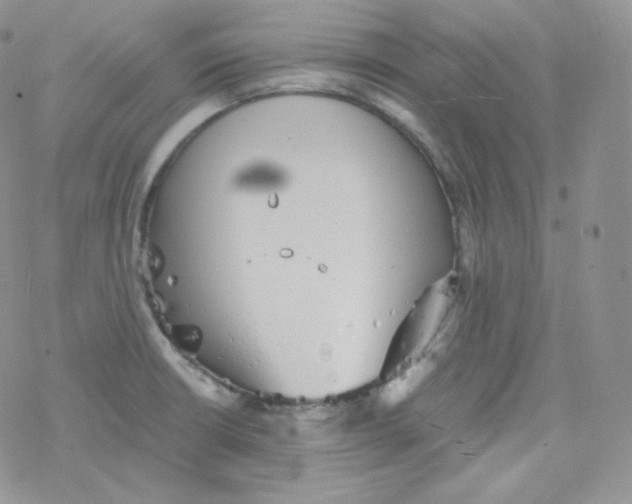 X0000078301426200611251457