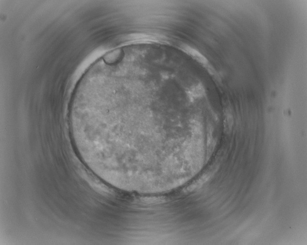 X0000078301427200611251457