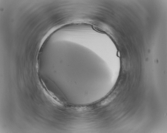 X0000078301428200611251457