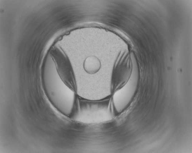 X0000078301430200611251457