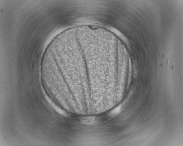 X0000078301431200611251457