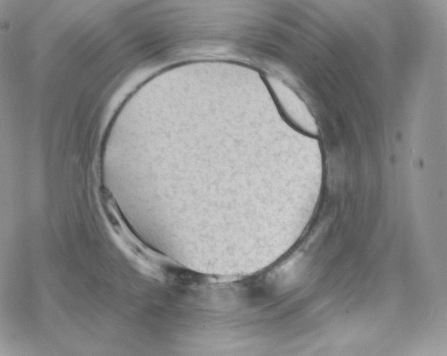 X0000078301432200611251457