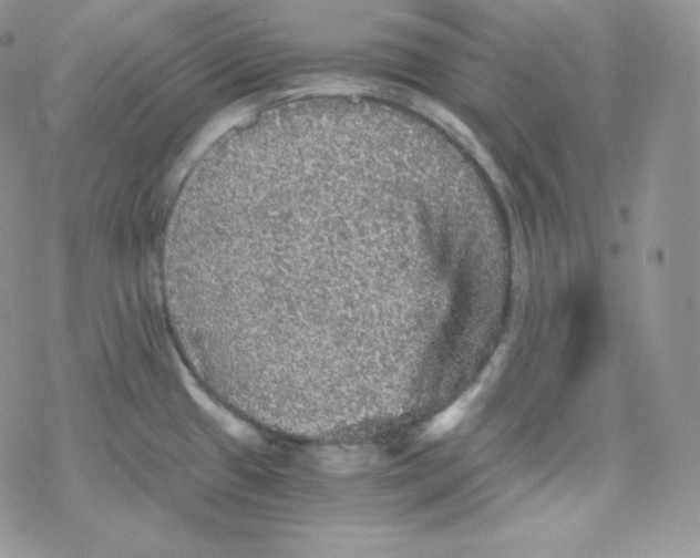 X0000078301433200611251457