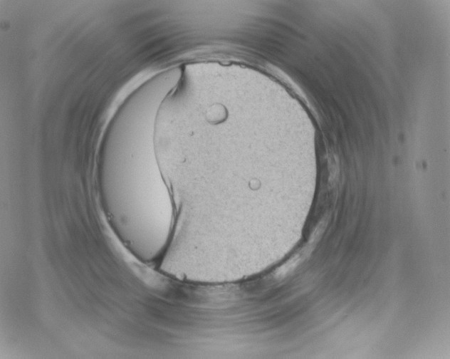 X0000078301434200611251457