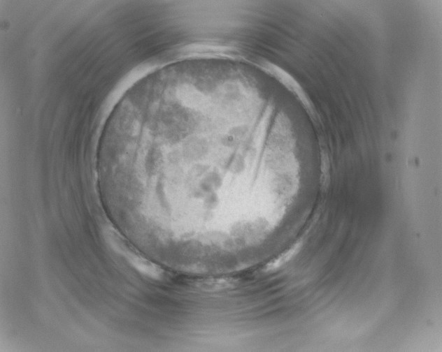 X0000078301435200611251457