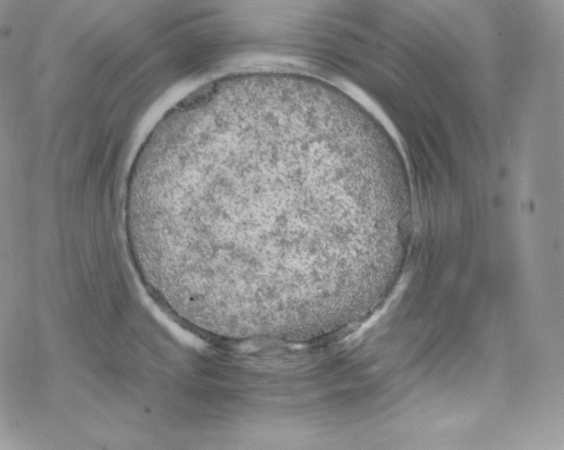 X0000078301437200611251457