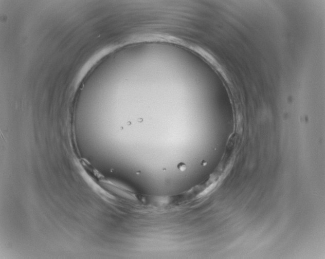 X0000078301438200611251457