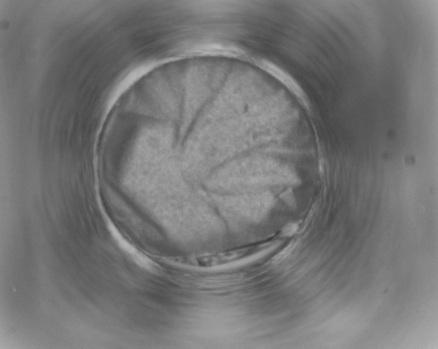 X0000078301439200611251457