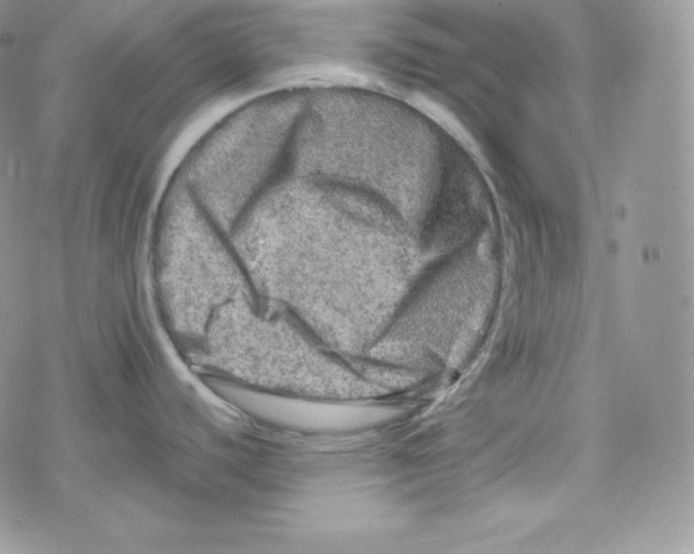 X0000078301440200611251457