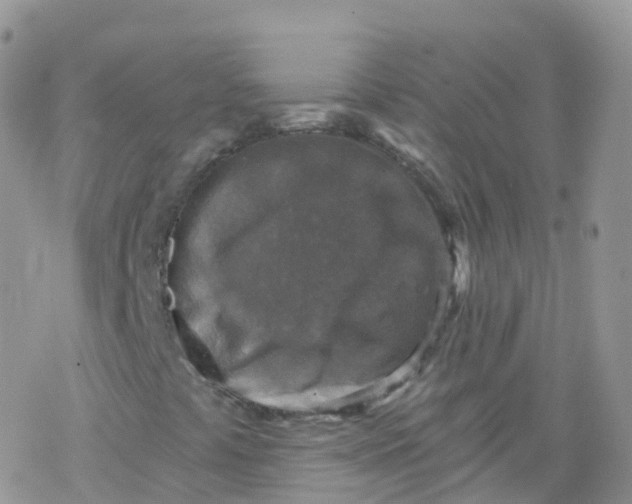 X0000078301441200611251457