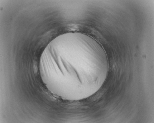 X0000078301442200611251457