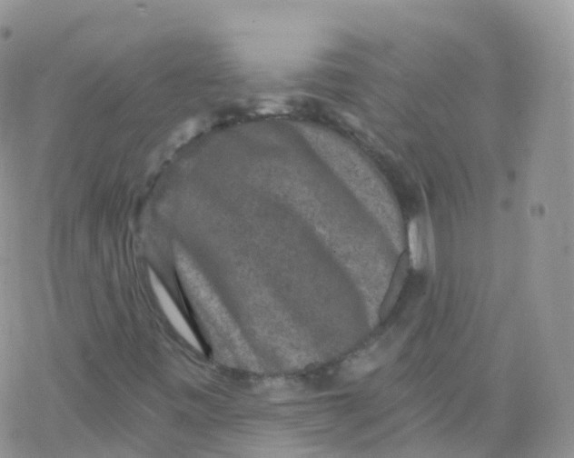 X0000078301443200611251457