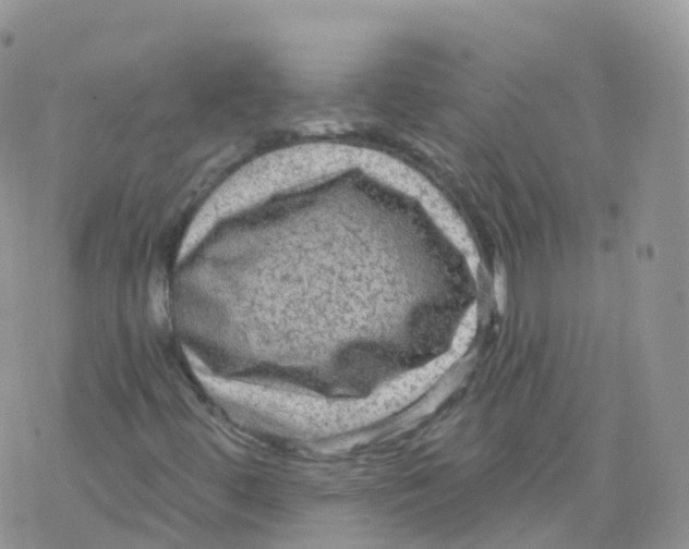 X0000078301444200611251457