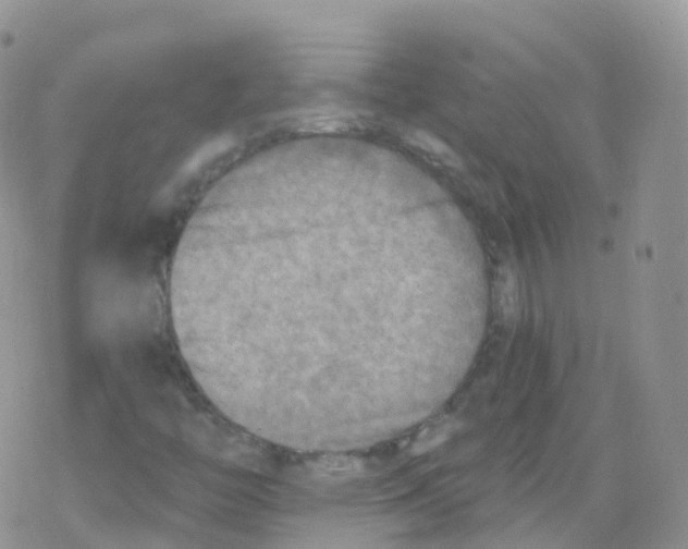 X0000078301446200611251457