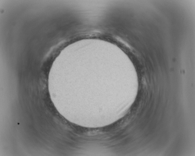 X0000078301447200611251457