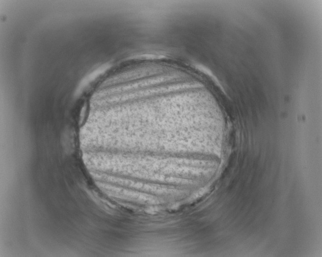 X0000078301448200611251457