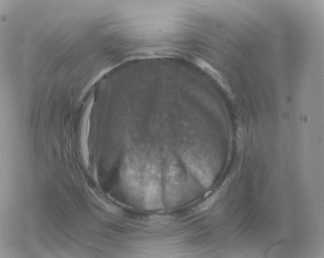 X0000078301449200611251457