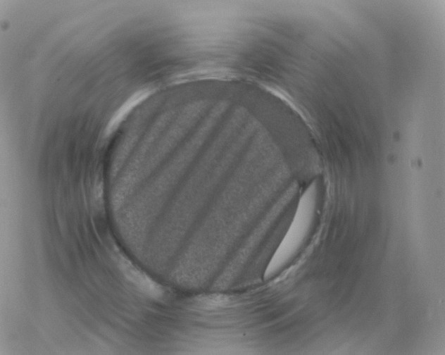 X0000078301450200611251456