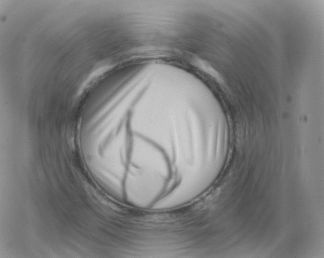 X0000078301451200611251456