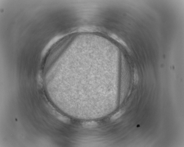 X0000078301454200611251456